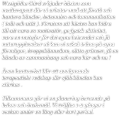 Westgötha Gård erbjuder hästen som medterapeut där vi arbetar med att förstå och hantera känslor, beteenden och kommunikation ( inåt och utåt ). Förutom att hästen kan bidra till att vara en motivatör, ge fysisk aktivitet, vara en metafor för det egna beteendet och få naturupplevelser så kan vi också träna på egna förmågor, kroppskännedom, sätta gränser, få en känsla av sammanhang och vara här och nu !

Även hantverket blir ett avväpnande terapeutiskt redskap där självkänslan kan stärkas .Tillsammans gör vi en planering beroende på behov och önskemål. Vi träffas 1-2 gånger i veckan under en lång eller kort period.


